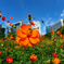 この花は僕の