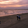 君とみた海