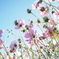 9EC0FB9B-DC21-4084-BE1D-B3CD0D104122