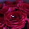 88D4F9A0-1A98-4CFB-9655-D74F2C246515