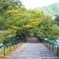 円通寺の青紅葉
