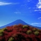 富士パッチワーク