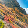 たいせんさん：大船山