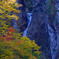秋の滝旅20　権現滝