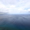青海