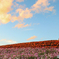 秋の夕刻