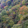 九重夢大橋_3