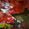 長野市の清水寺