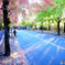 紅葉散歩❁三色彩道2022