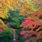 伊香保紅葉Ⅲ