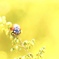 天道虫(テントウムシ) その2
