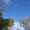 青空