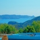 望海のイルカショー