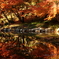鏡張りの紅葉