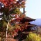 秋の長谷寺　五重の塔　少し早かった紅葉^^;