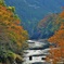 紅葉３