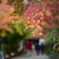 新倉富士浅間神社の秋