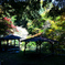 山寺の茶屋