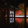 群馬県 宝徳寺 床紅葉