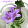 Bell Flower