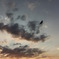夕日と共に