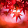 紅が浮かぶ。