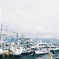 田子の浦と初めてのフイルム