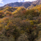 大月の紅葉