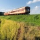466CCE37-E4D2-46DC-A3DF-CC6EAC0D378A