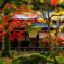 紅葉と庭園・５