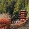 長谷寺　五重の塔
