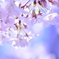 spring shower #03