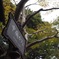 看板