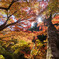 雷山千如寺大悲王院5