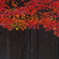 浮田家2