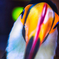 animal_8_ソーシャルディスタンスって知ってる？ の貌
