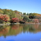 池に紅葉