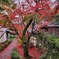 松尾寺