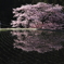 諸木野に咲く2011