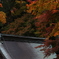わび　その351