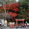 亀岡　出雲大神宮にて