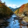 秋川