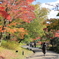紅葉