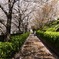 Slow stroll