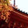 大威徳寺　紅葉