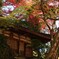 秋の大威徳寺