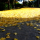 須磨離宮公園