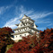 紅葉の郡上八幡城