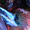 古釜の滝：渓流