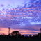 夕景